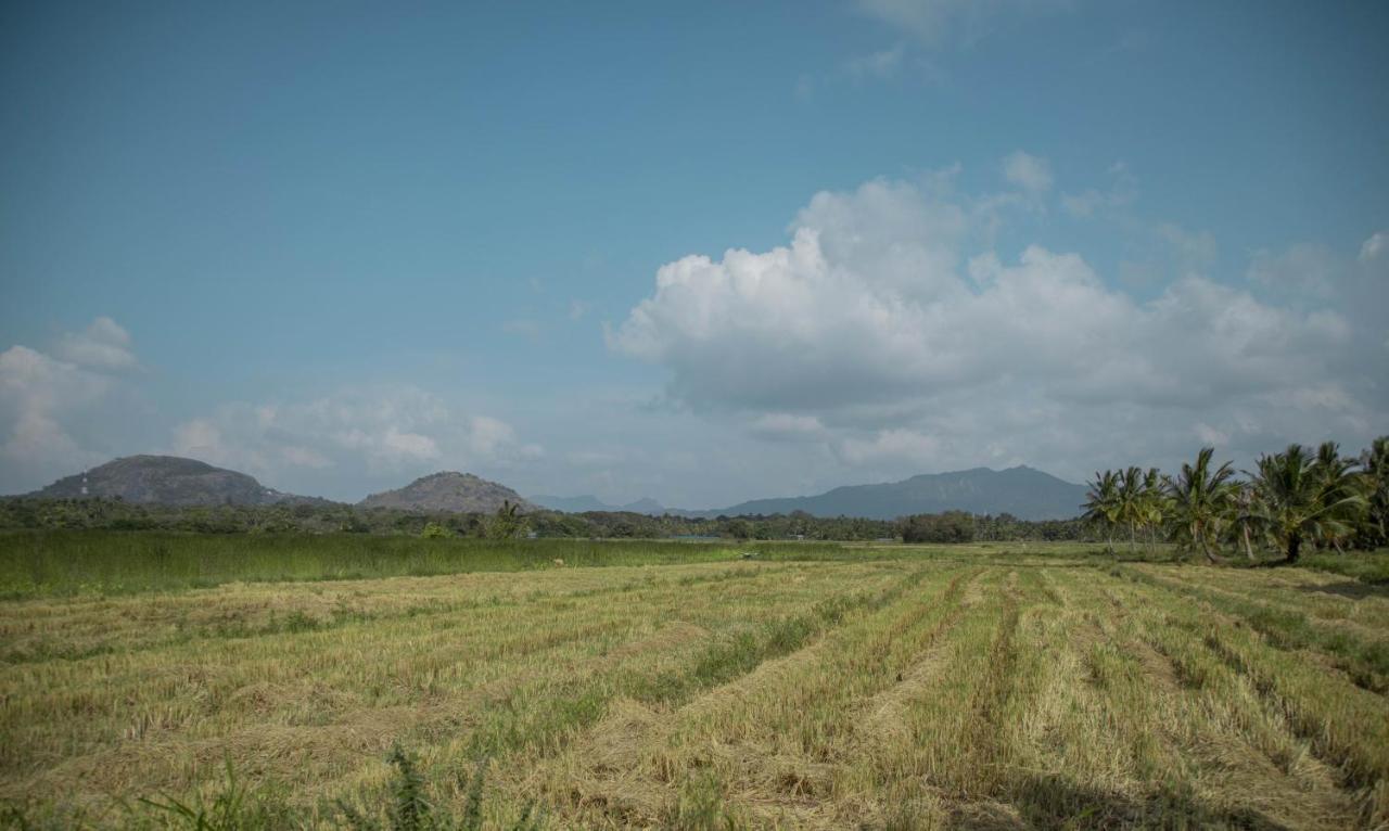 Nilambara Lake View Dambulla Εξωτερικό φωτογραφία