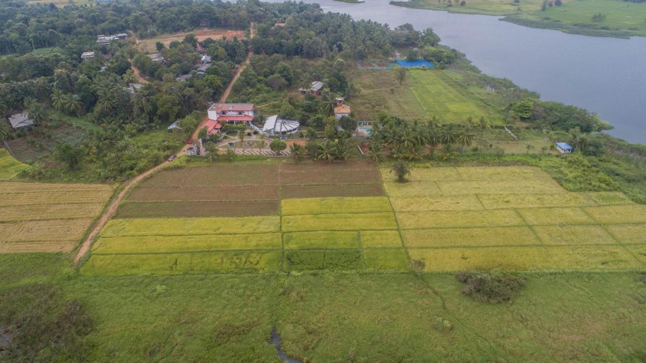 Nilambara Lake View Dambulla Εξωτερικό φωτογραφία